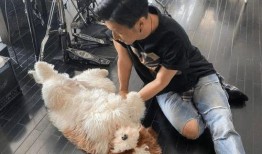 网红暗黑爆料视频在哪看,观看途径大公开