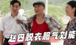 在线观看乡村爱情8,续写田园梦，再续乡村情缘